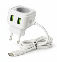 Oteam SA-81 Type C Charger
